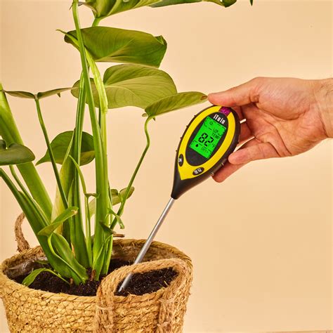 plant tester for moisture